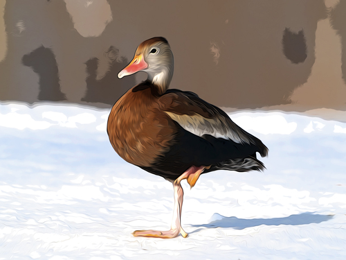 whistling-duck-4-paint-poster_ss05