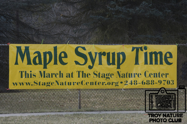 maple-syrup_001