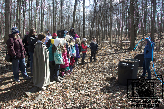 maple-syrup_026
