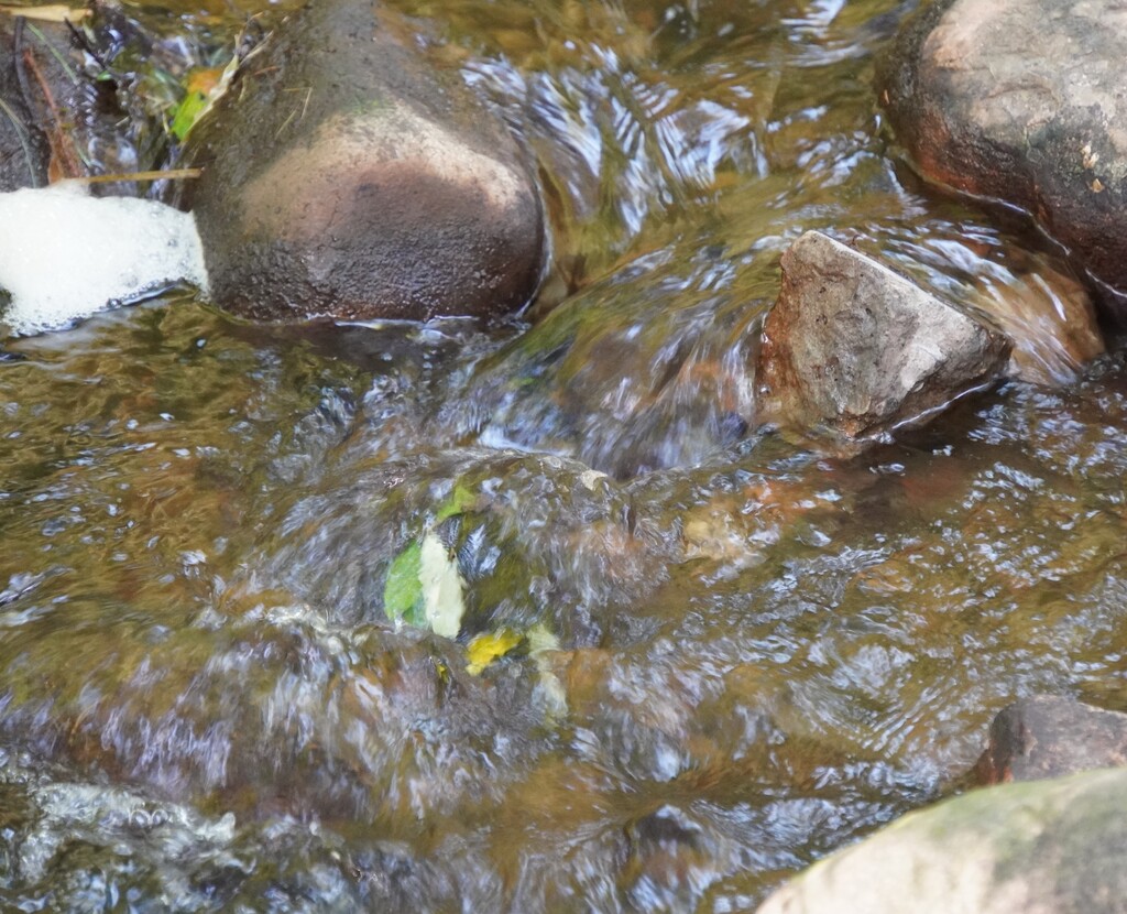 DSC03622.1