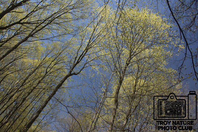 april-spring_007