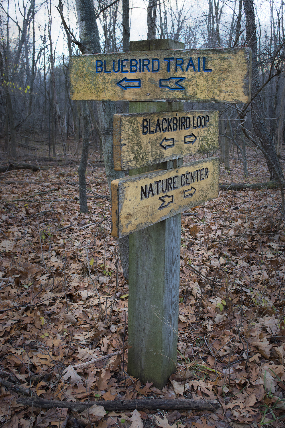 walk-december_005