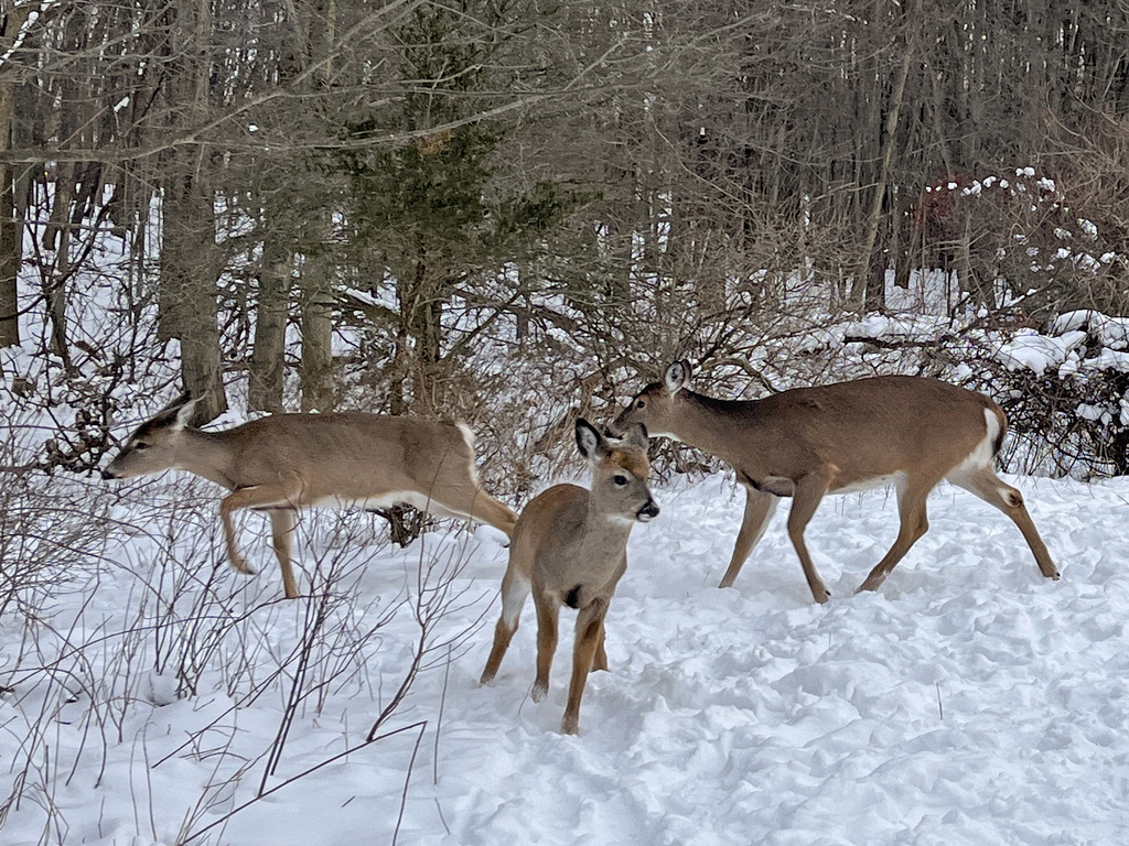 feb23-walk_002