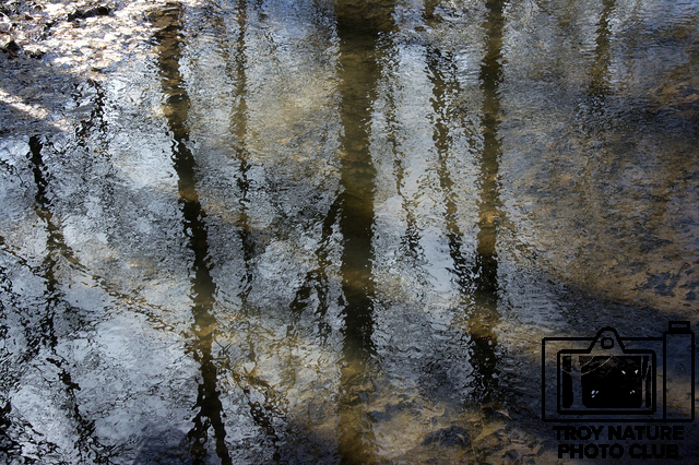 maple-syrup_052