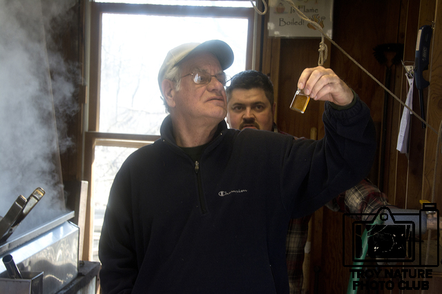 maple-syrup_038