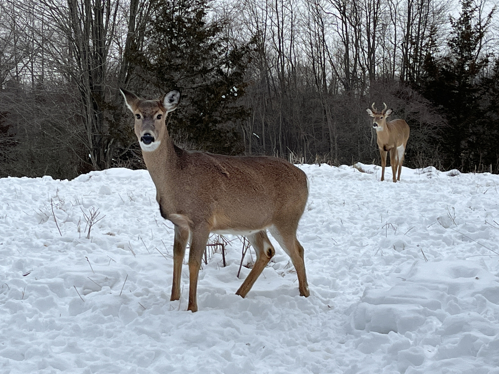 feb23-walk_004