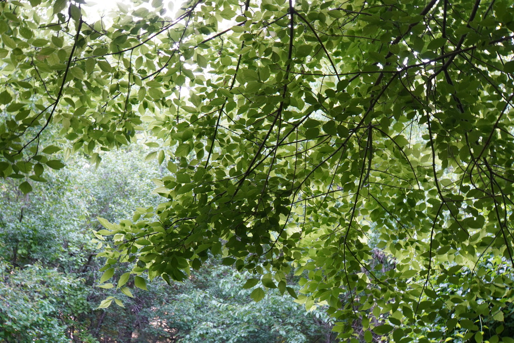 DSC04936