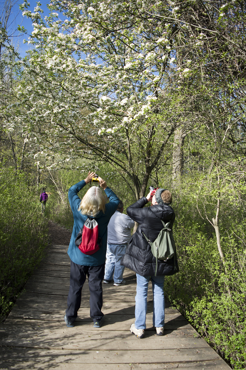 may-walk_004