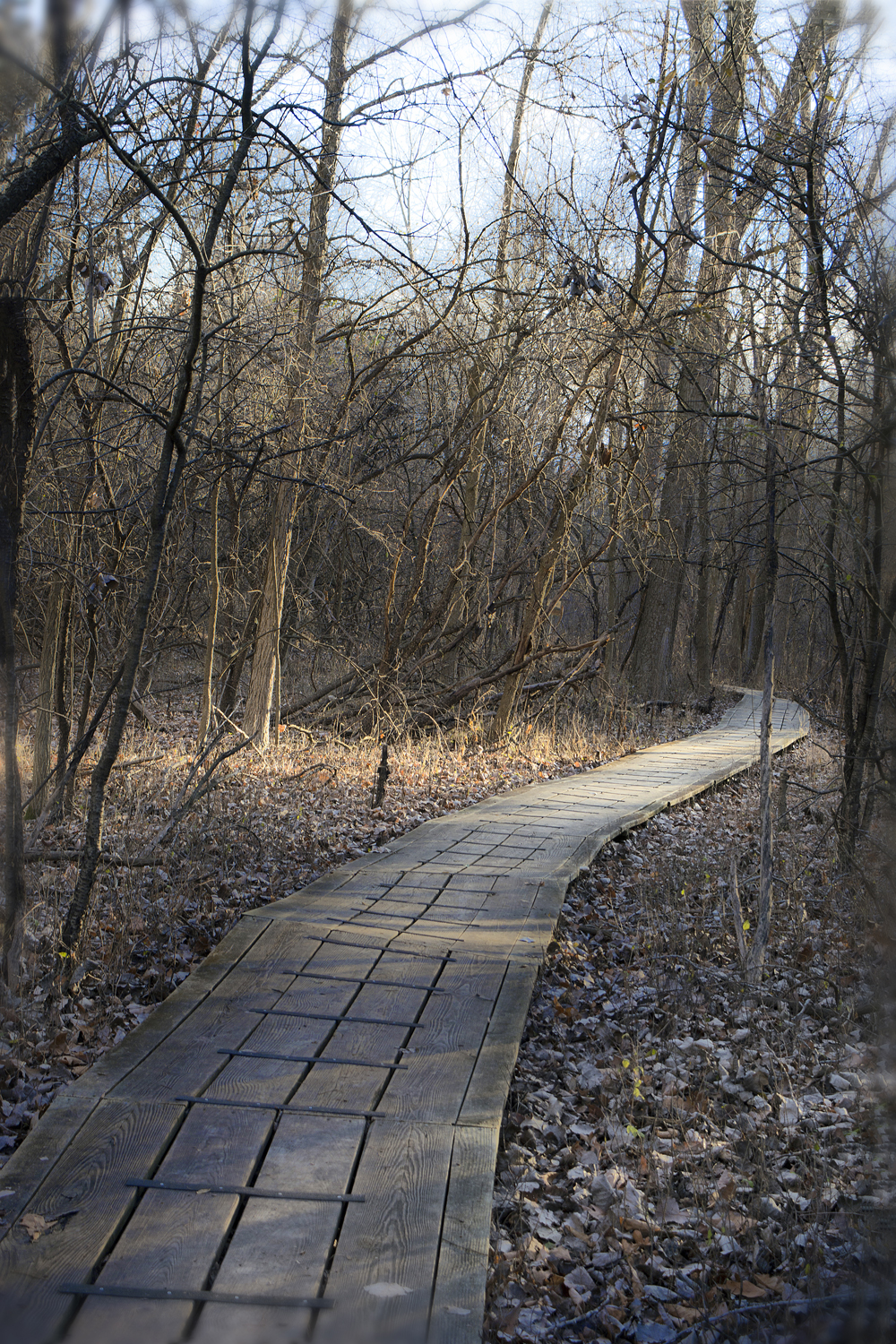walk-december_008
