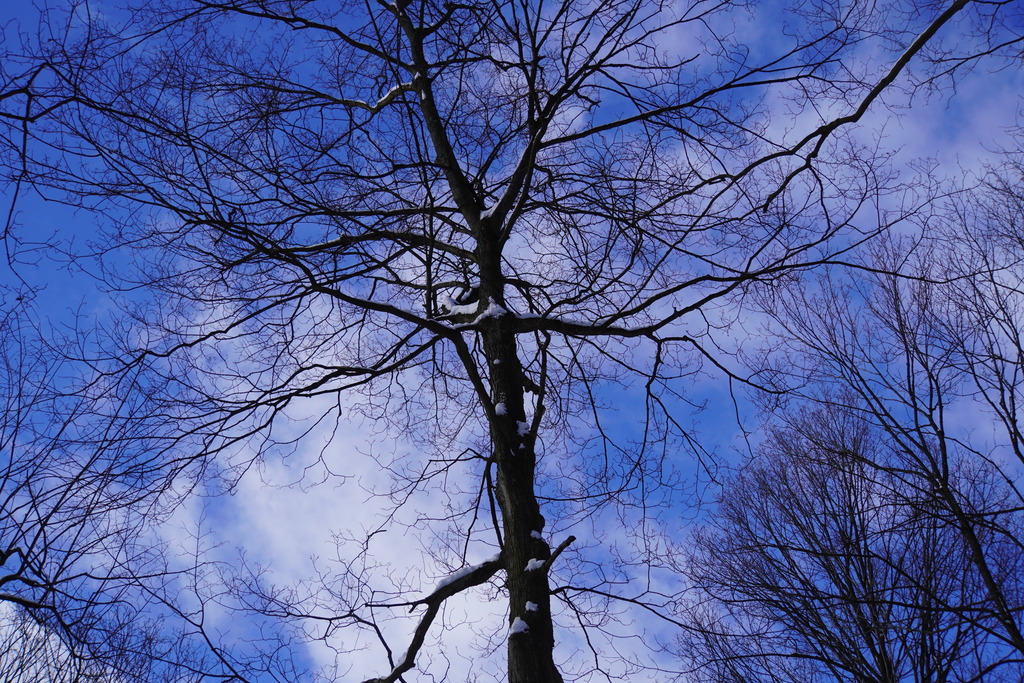 DSC05031
