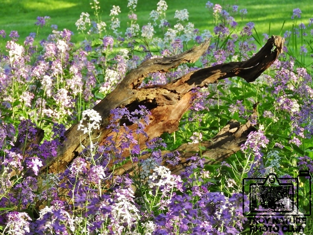 DSCN1072