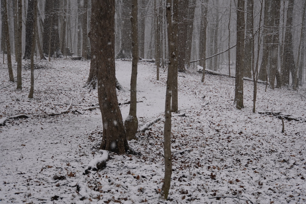 DSC04770