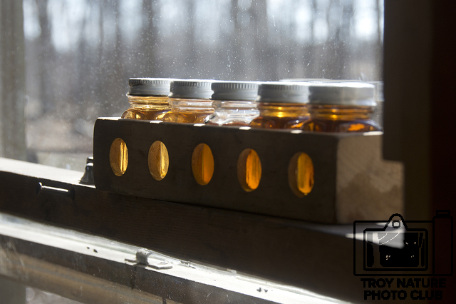 maple-syrup_039