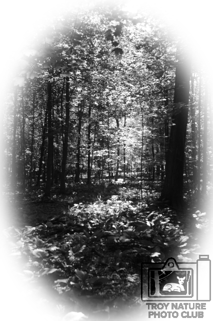 june-walk_001
