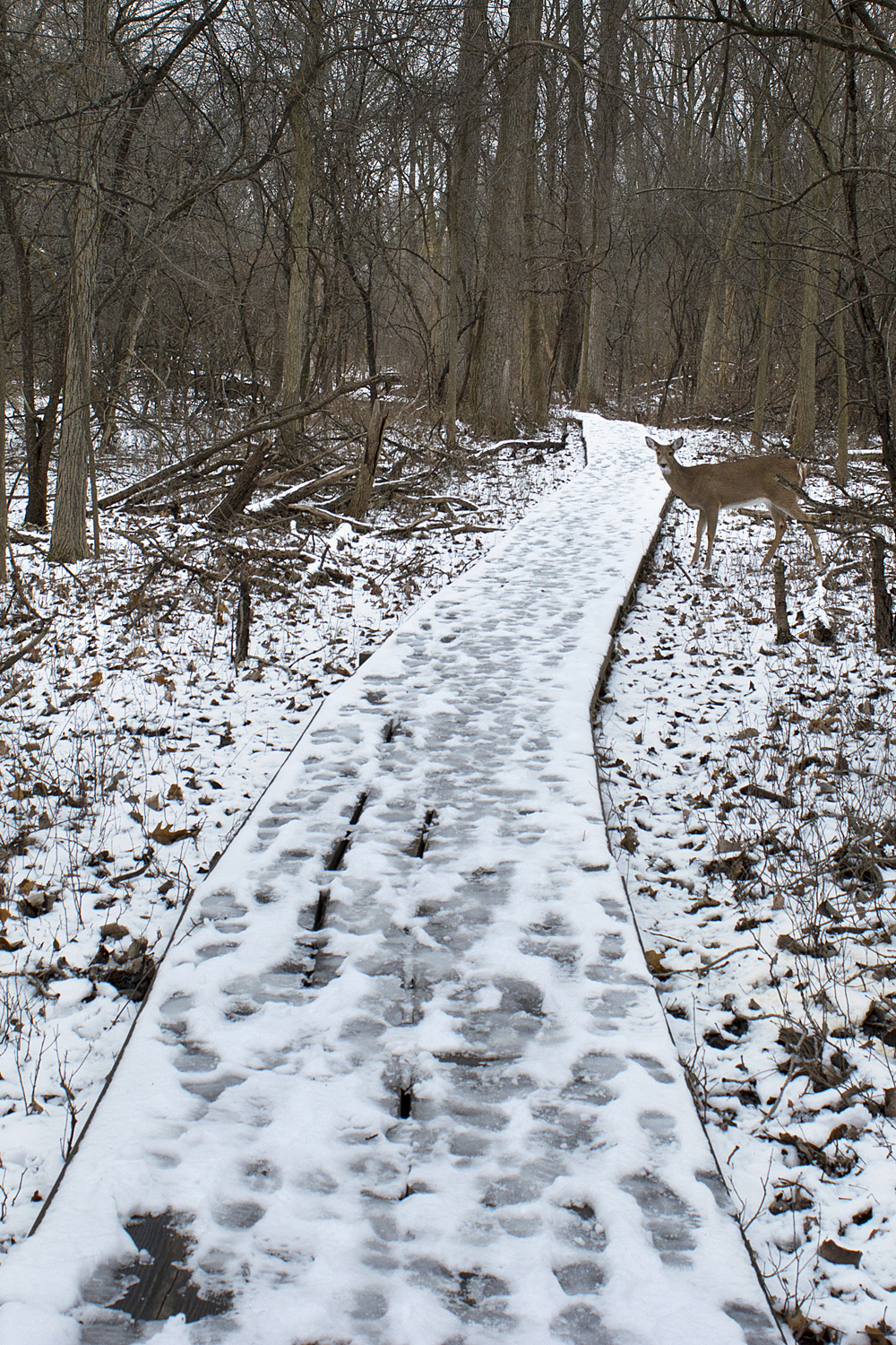 dec-2021_006
