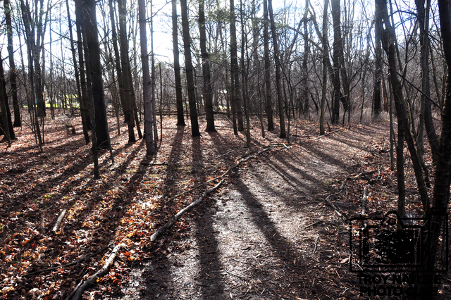 april-walk_006
