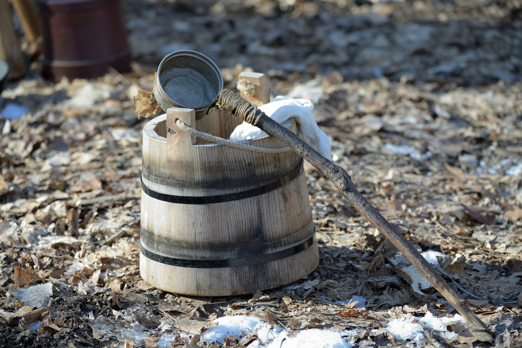 Maple Syrup Days_1