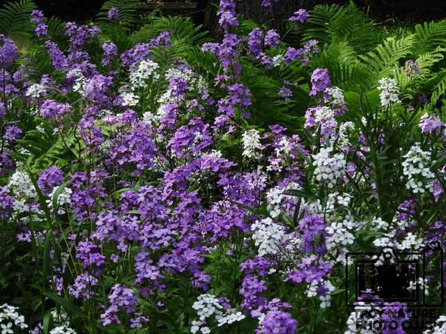 DSCN1214