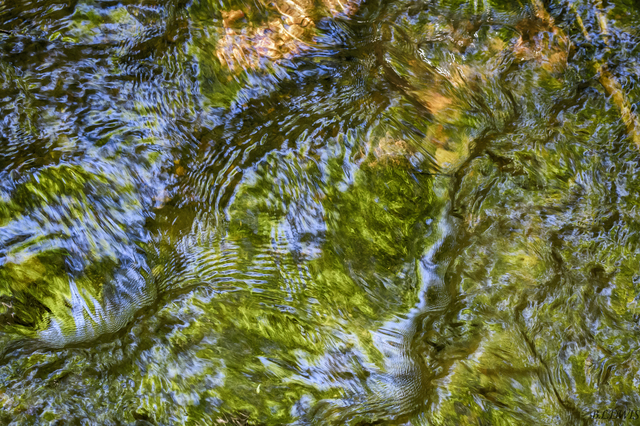 DSC_5814P