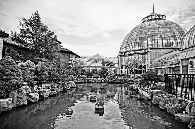 _DSC8025