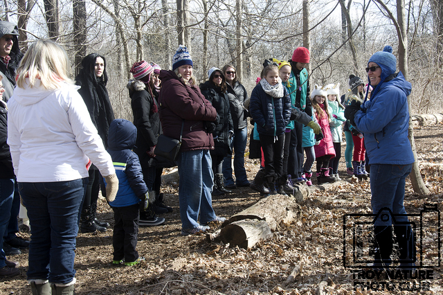 maple-syrup_006