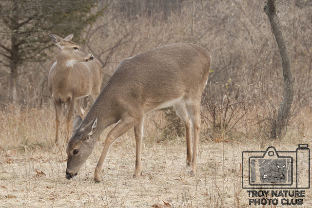 naturewalk-december_002