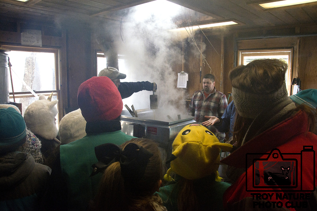 maple-syrup_034