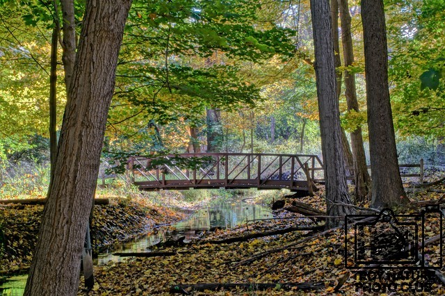 Fall Bridge