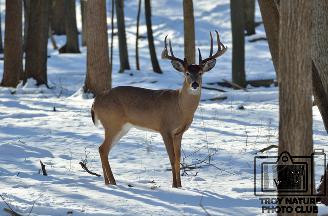10 point 2042017
