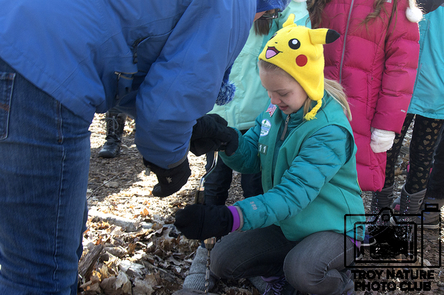 maple-syrup_019