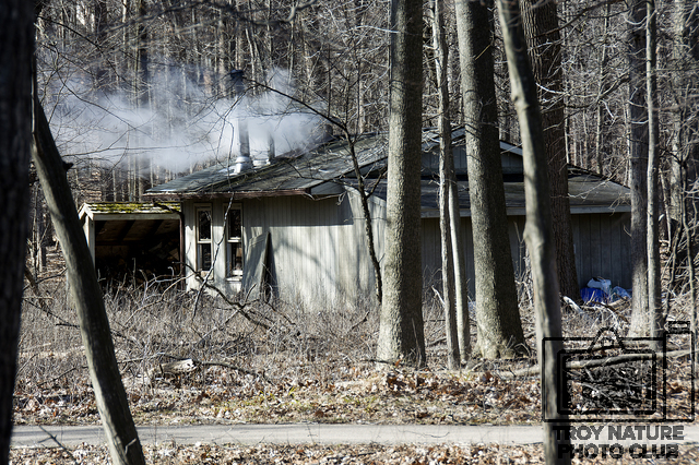 maple-syrup_002