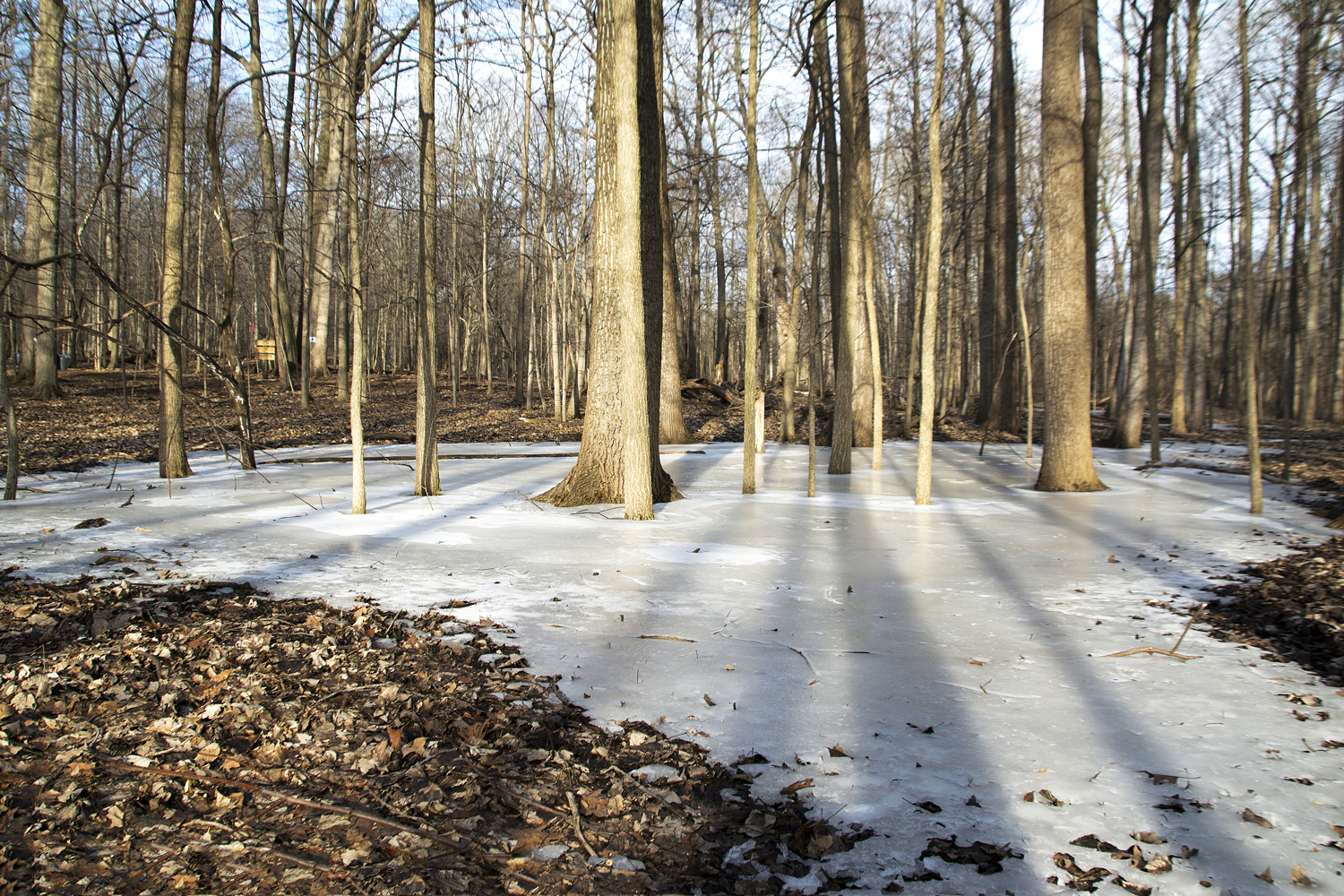 2022-mar-walk_003