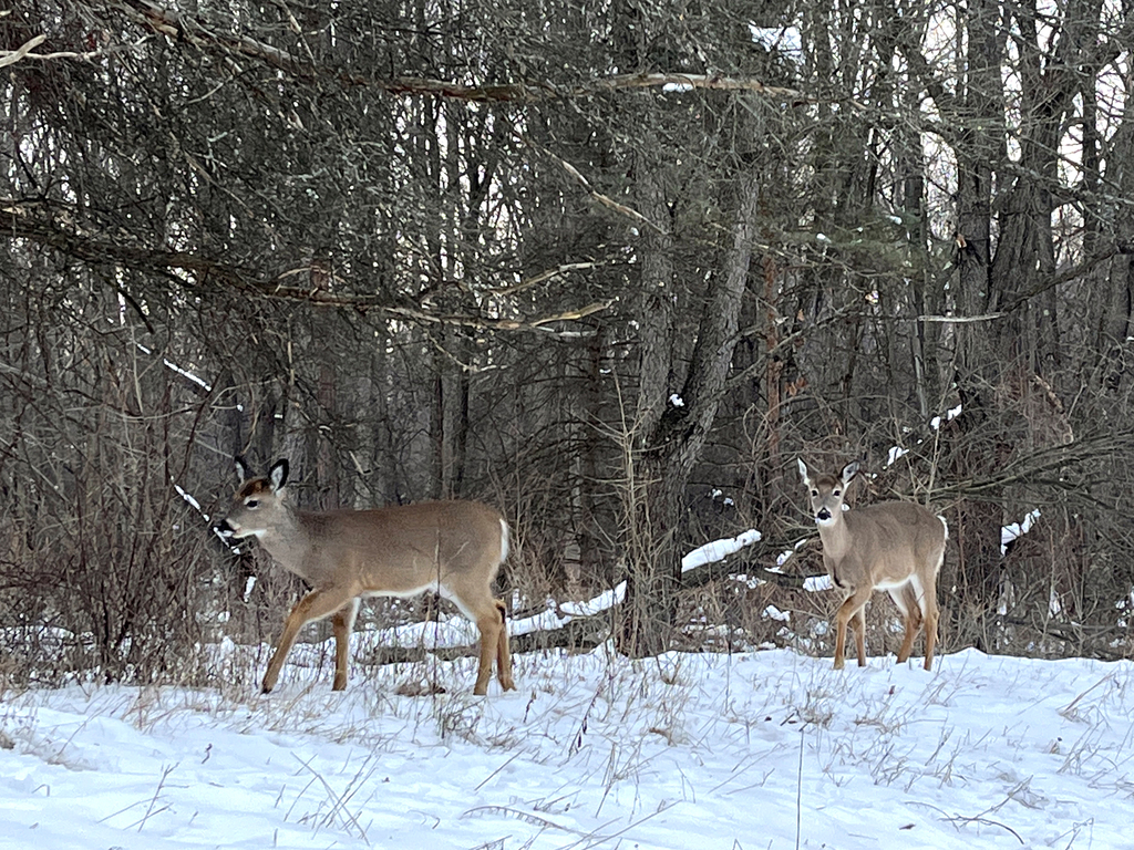 feb23-walk_006