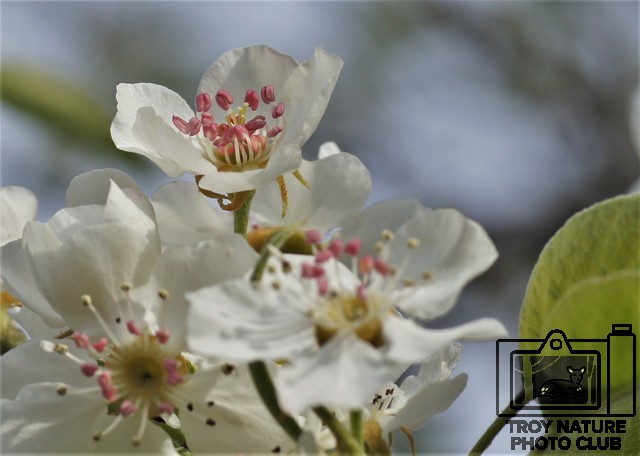 April Life