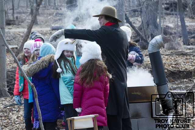 maple-syrup_030
