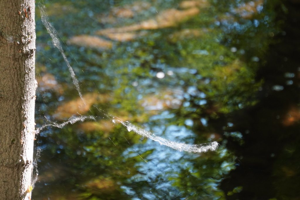 DSC02799