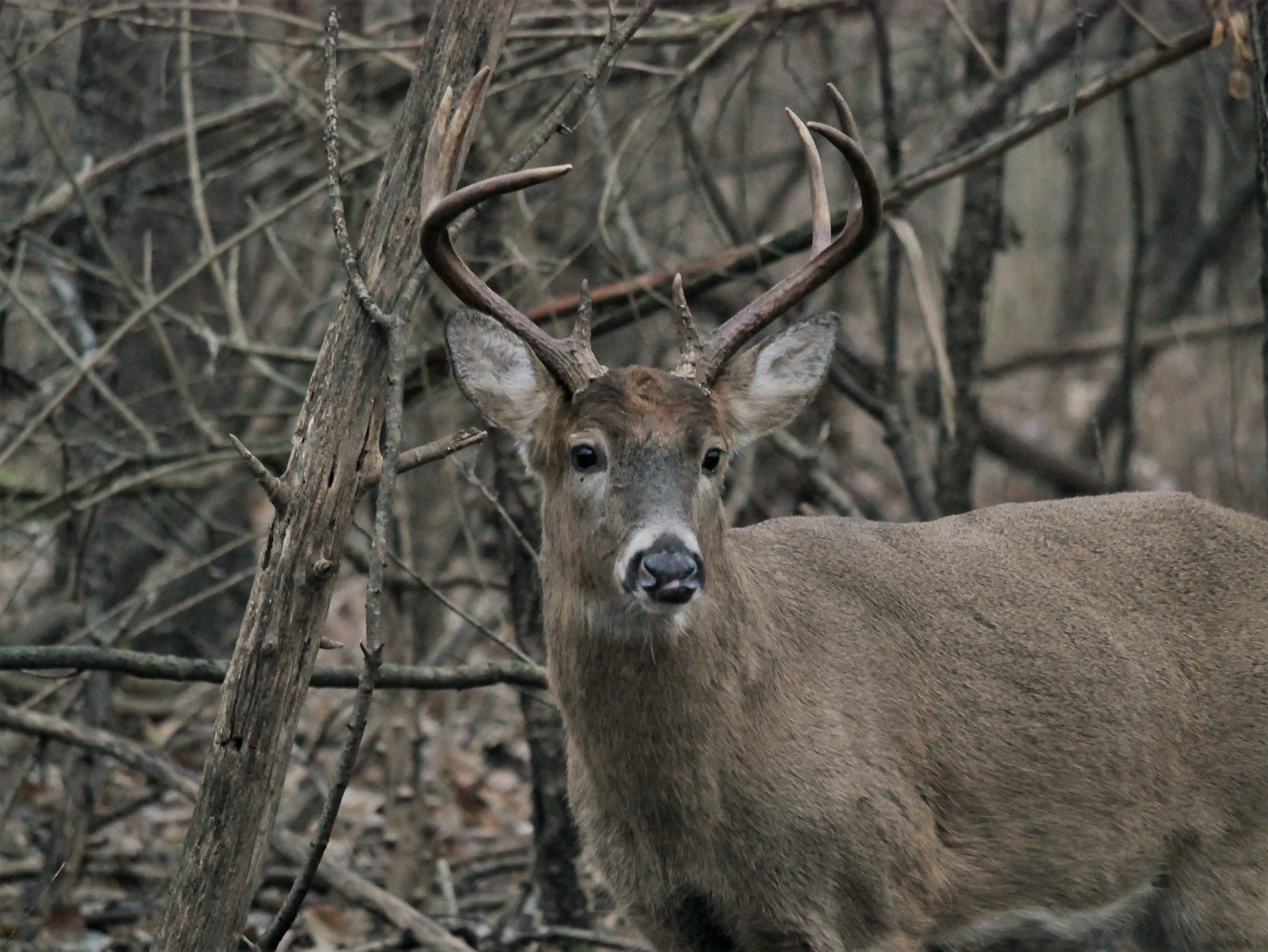 Eight Point