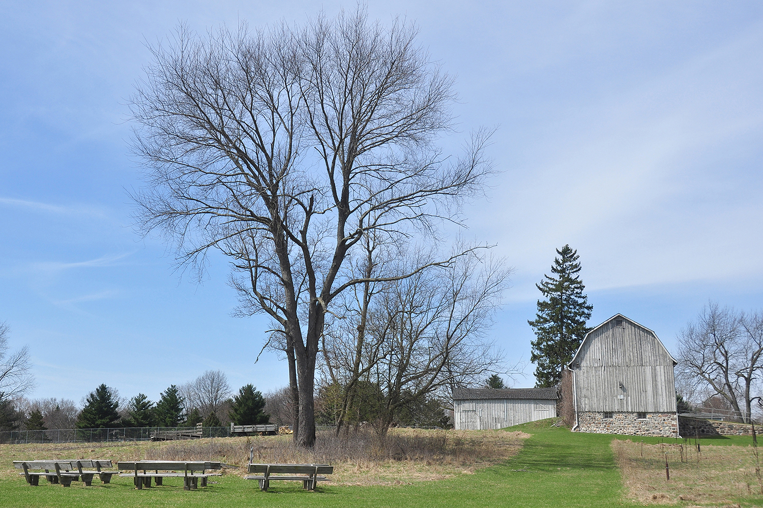 april-scenes_010