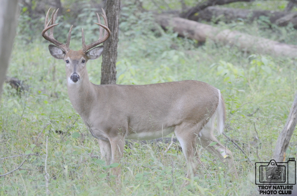 11 point_01
