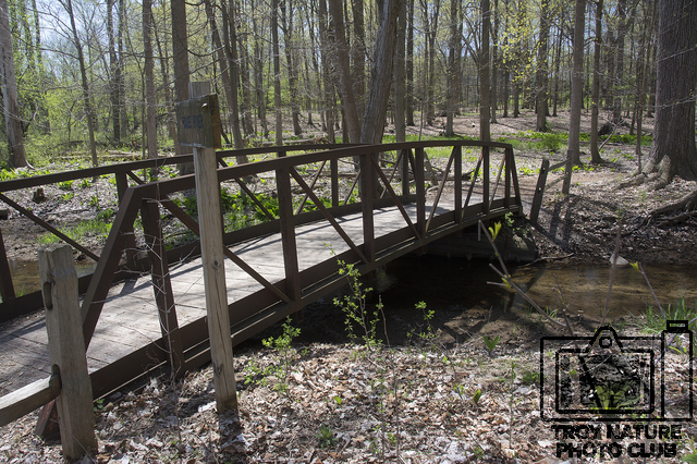 april-spring_006