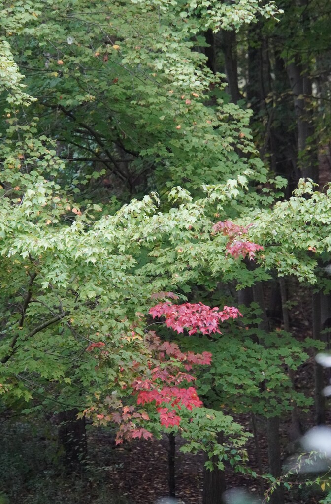 DSC03889