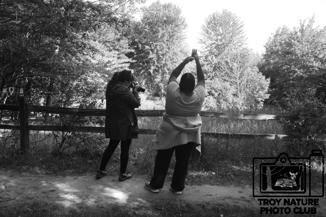 june-walk_004