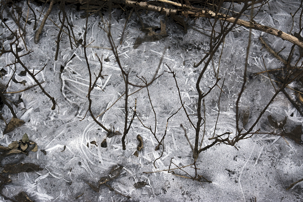 walk-jan24_002