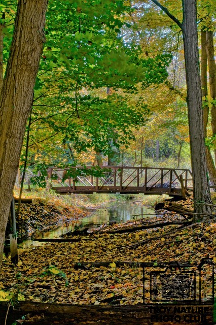 Autumn Bridge