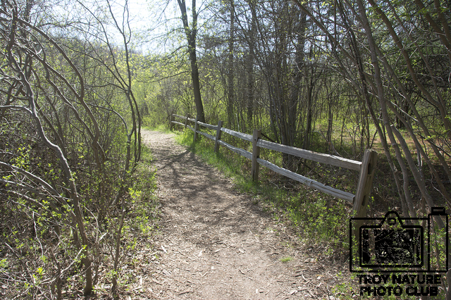 april-spring_011