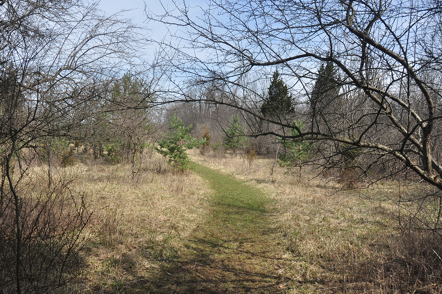 april-scenes_008