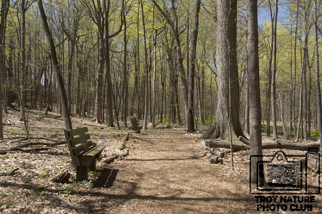 april-spring_008