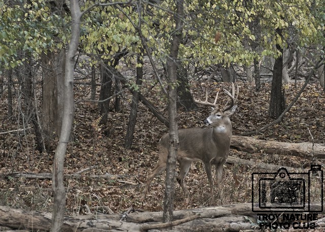 Big 10 Point