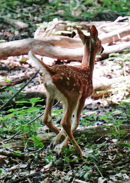 DSC09305