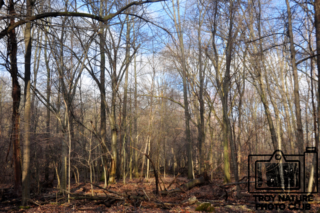 april-walk_004